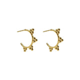 Catberry Hoop Earrings