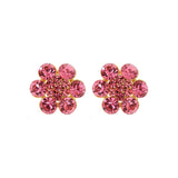 Fabulous Earrings