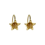 Twinkle Earrings
