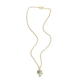 Long Toggle Necklace - Conch - Brush Gold
