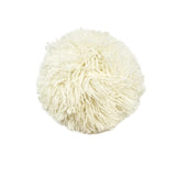 Tommy Pom-Pom with Snap